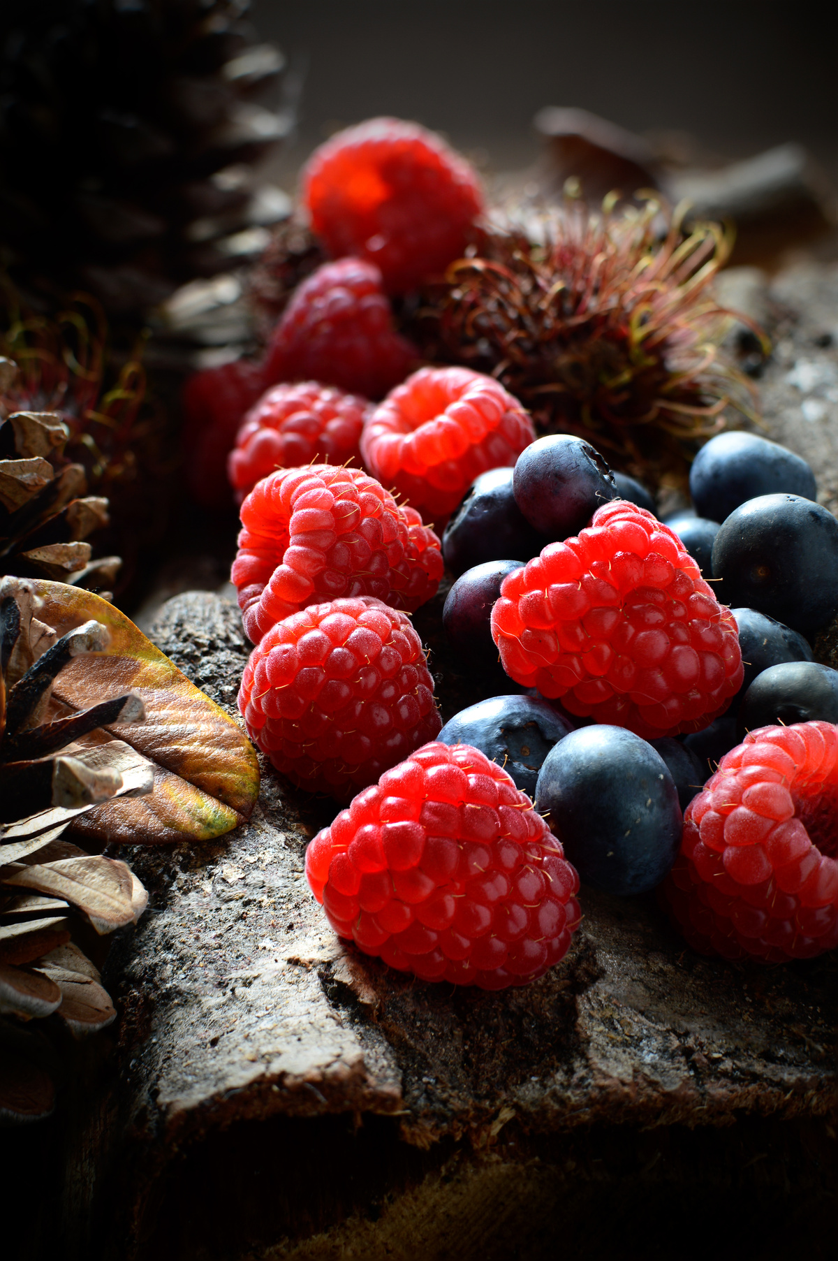 Fruits of the forest